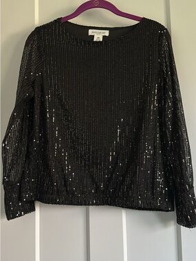 Skye's the Limit Black Sequin Long Sleeve Crewneck Top